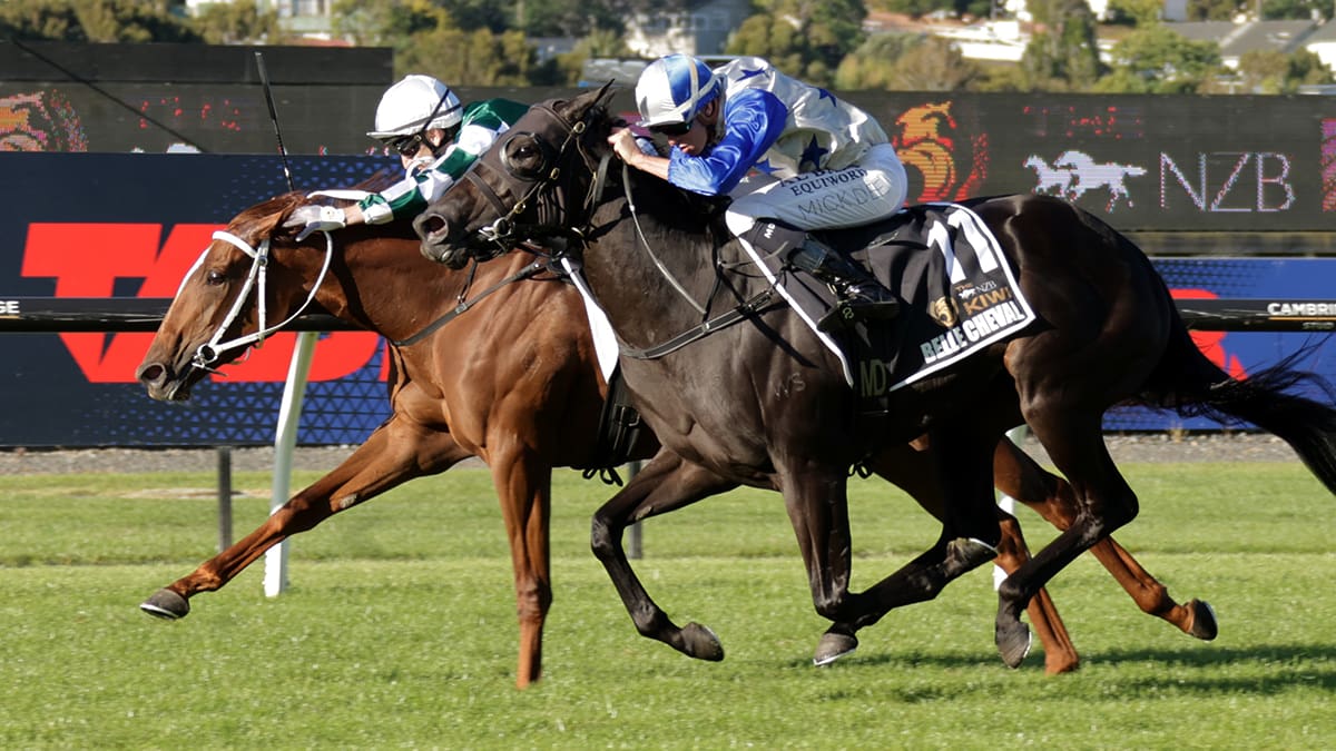 Ellerslie delivers remarkable day of drama on and off the track