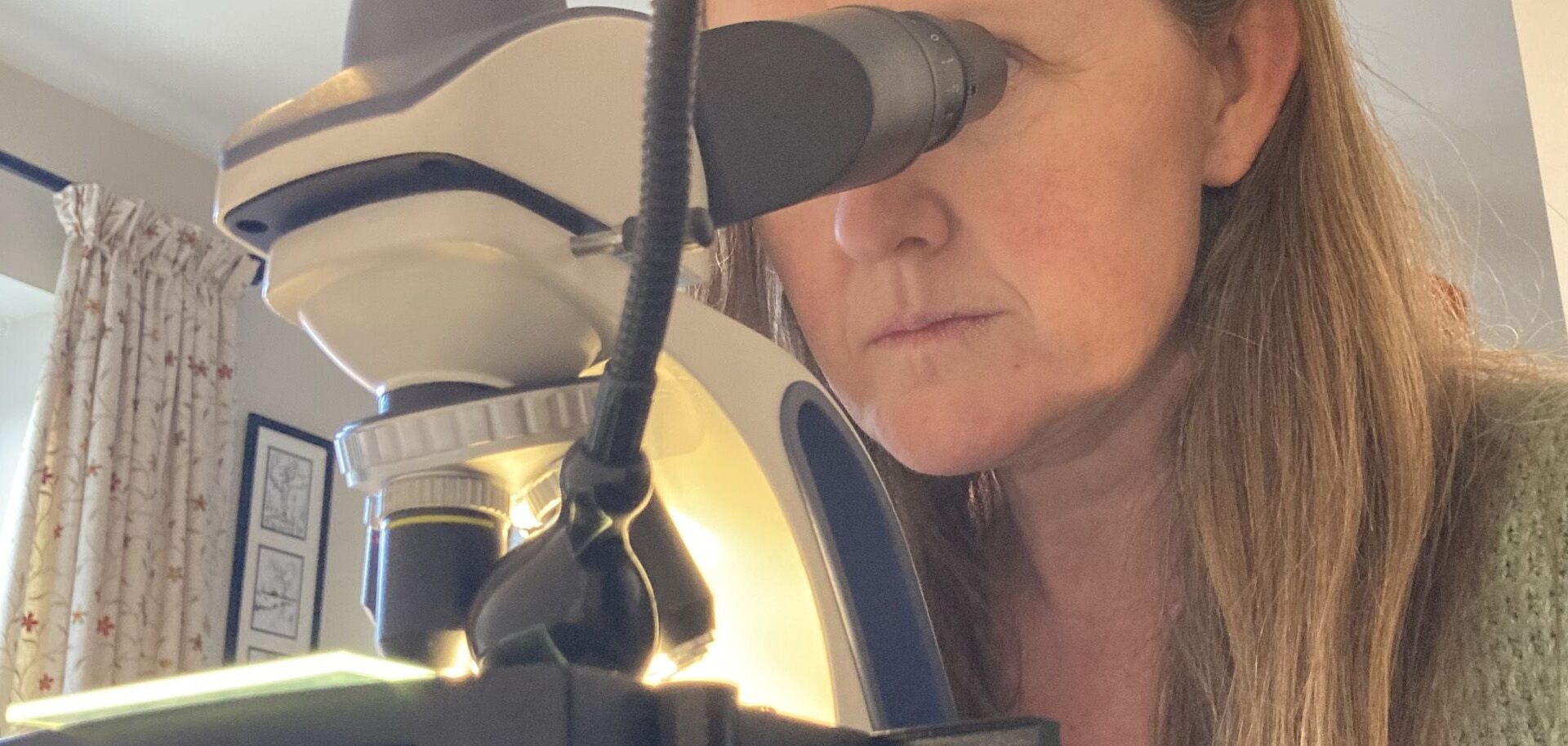 Here's our how-to guide for observing a meteorite with a microscope