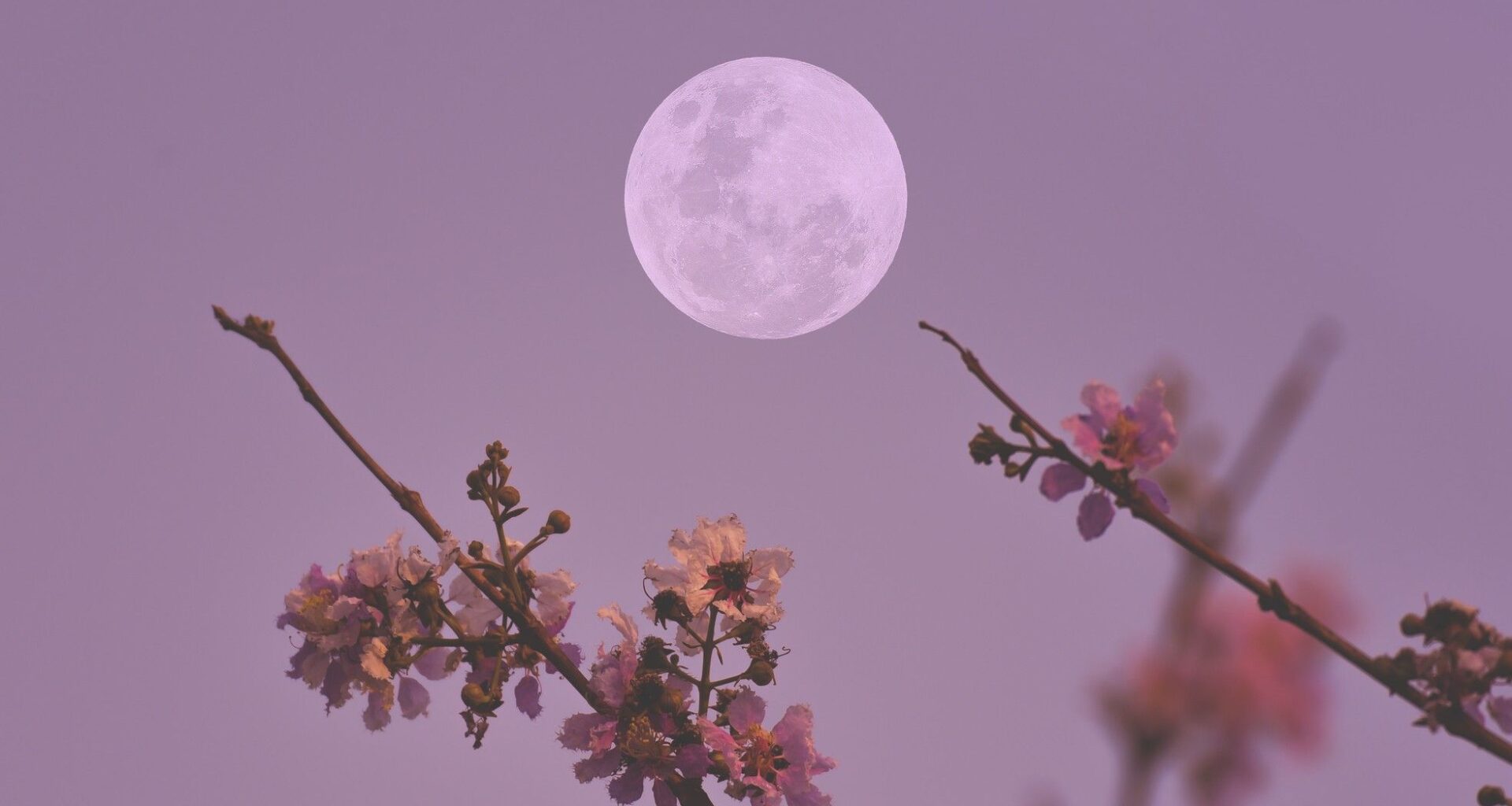 April's full moon decides the date of Easter — here's how it works
