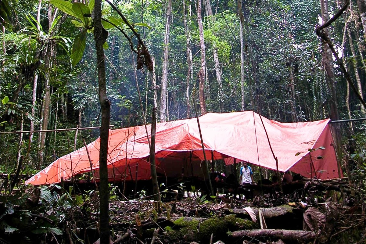 Vogelkop jungle camp, New Guinea