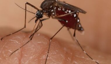 Researchers Reveal m6A Epigenetic Modification Controls Arbovirus Infection and Transmission Between Vertebrates and Mosquitoes----Chinese Academy of Sciences