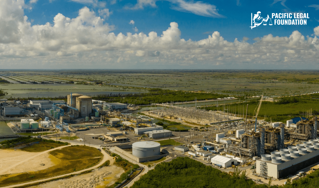 Week 21 image 030526