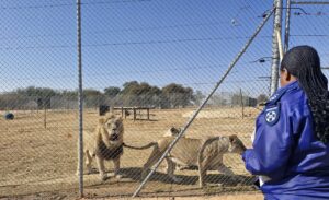 Wildlife inspection 2