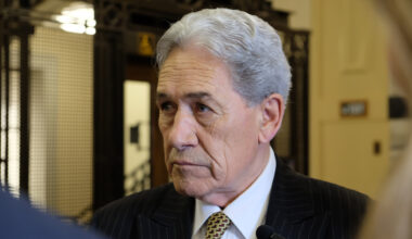 NZ First, Greens and Labour all think the electricity market needs to change