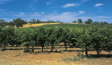 Herald morning quiz: March 3 - New Zealand News