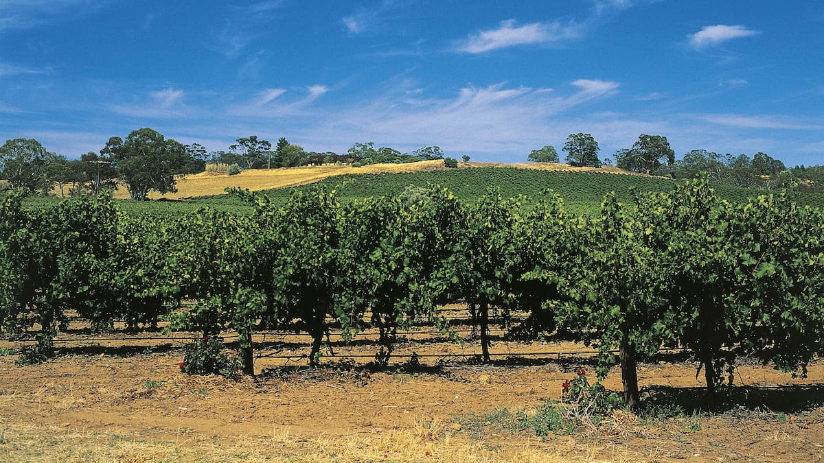 Herald morning quiz: March 3 - New Zealand News