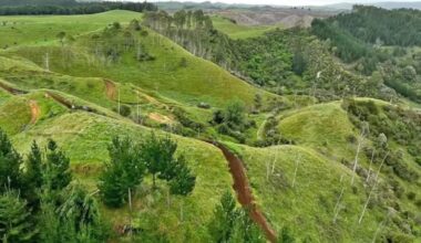 WorkSafe makes inquiries after fatal crash halts popular trail ride