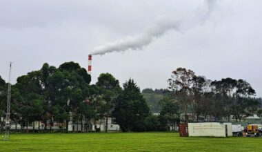 Plans resurface to burn treated timber at mill near Napier