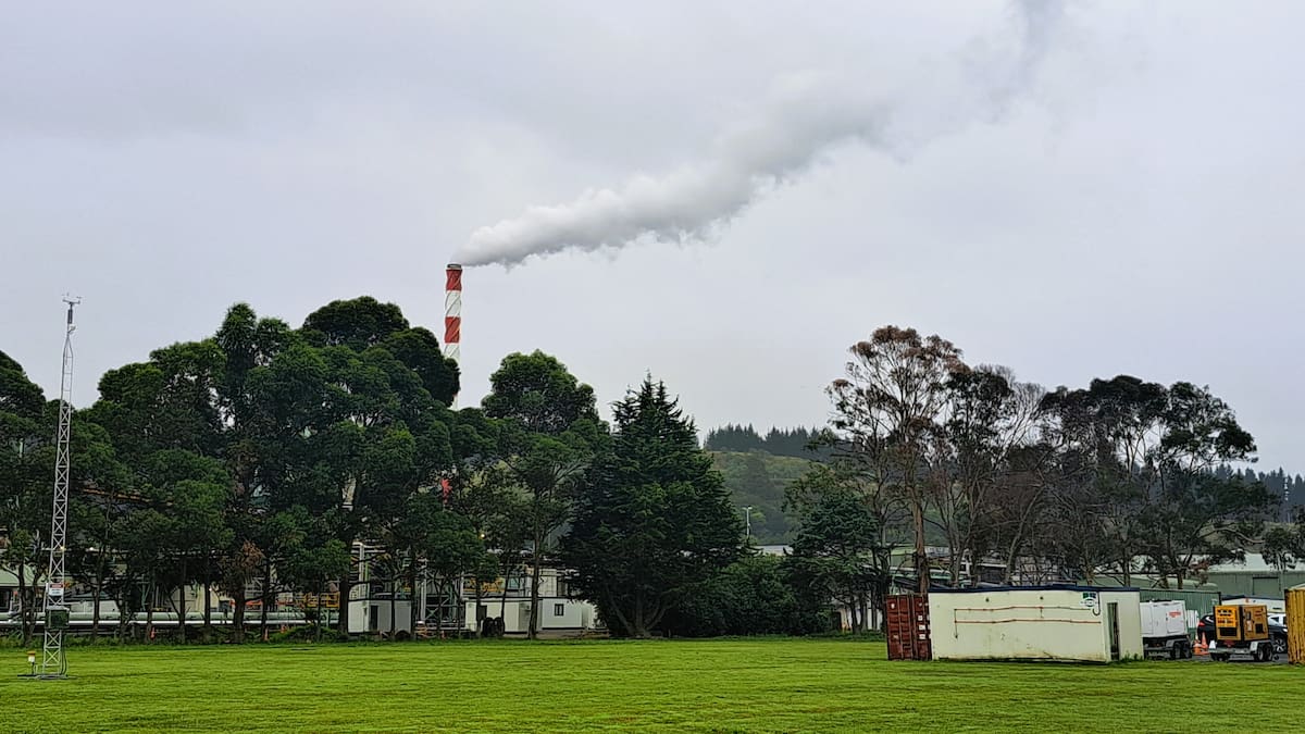 Plans resurface to burn treated timber at mill near Napier