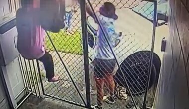 Video captures moment Gisborne woman uses car to intervene in suspected burglary