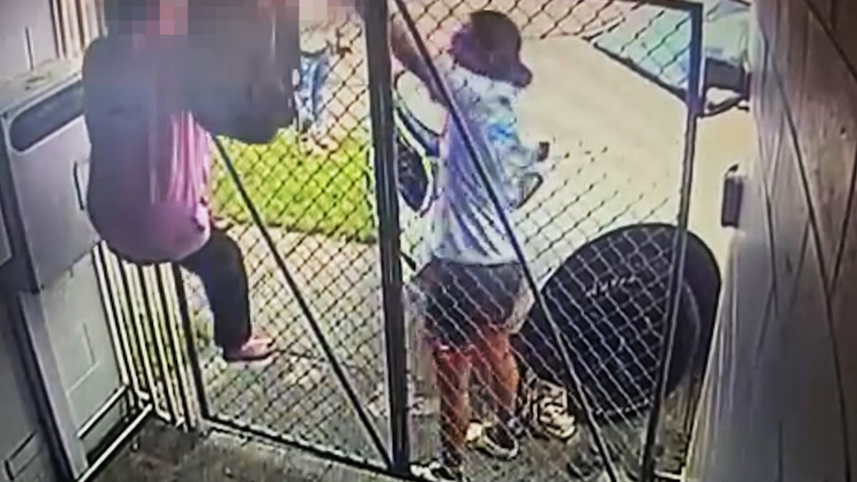 Video captures moment Gisborne woman uses car to intervene in suspected burglary