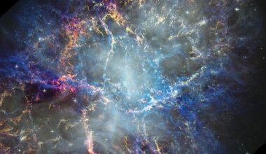 Hubble revisits the Crab Nebula after 25 years photo of the day for March 24, 2026