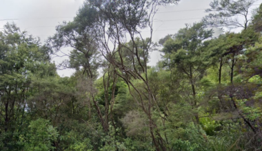 Mt Eden man charged after allegedly abducted woman found hurt in remote West Auckland
