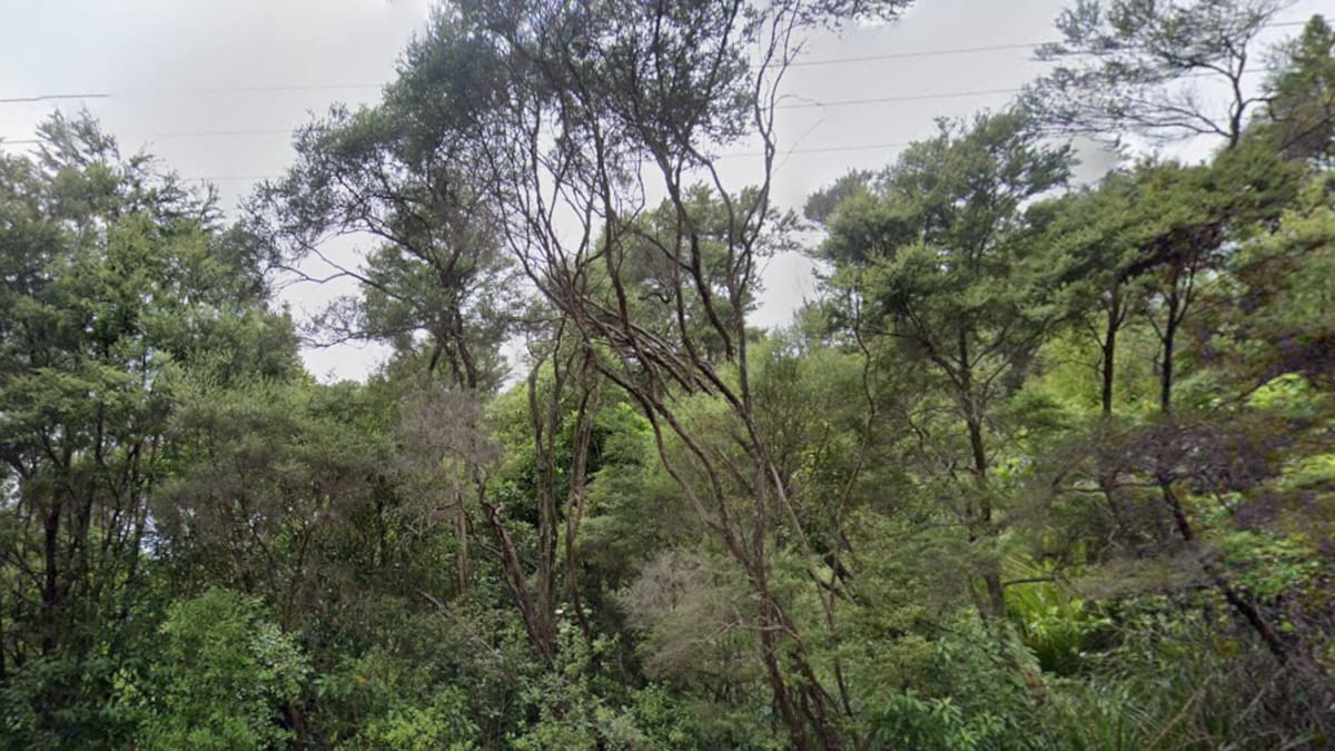 Mt Eden man charged after allegedly abducted woman found hurt in remote West Auckland