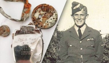 Watch lost by Kiwi pilot during fatal WWII crash found in German forest eight decades later