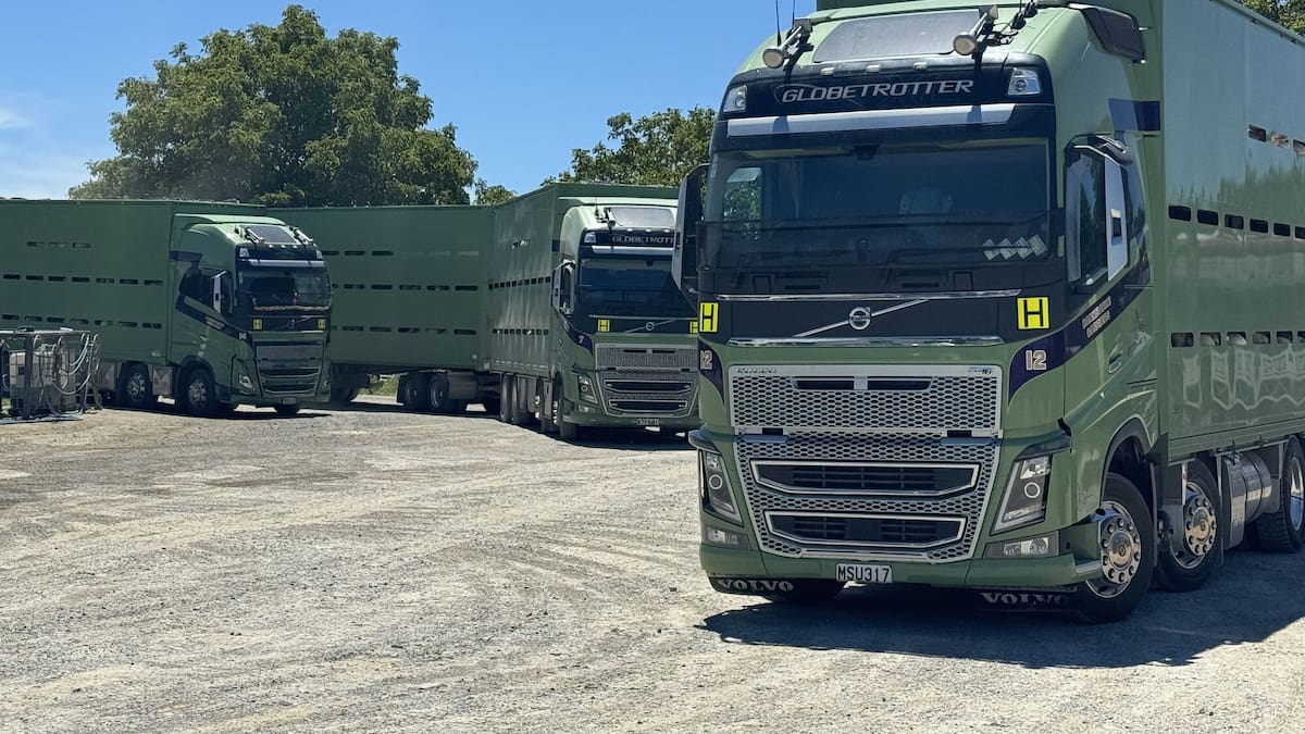 Fuel price surge hits Dannevirke trucking and farm sector