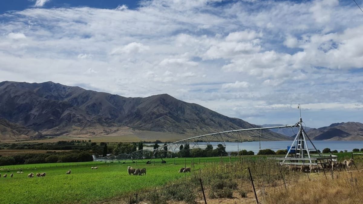 Resource management reform: What do primary sector groups think?