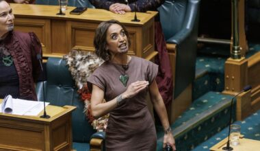 Election 2026: New faces circle Tāmaki Makaurau as Labour weighs contenders for key Māori seat