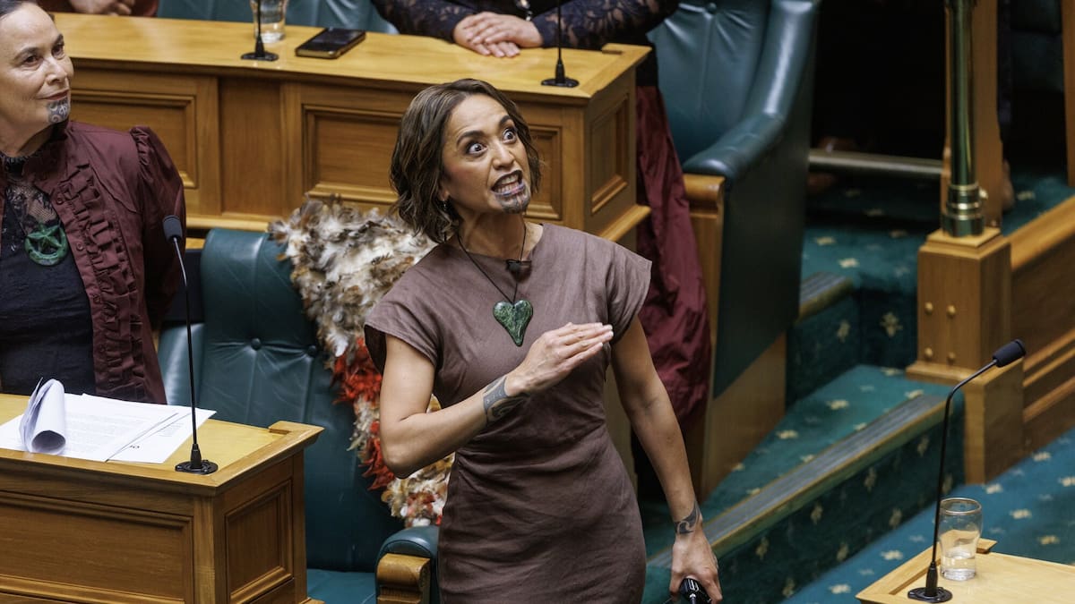 Election 2026: New faces circle Tāmaki Makaurau as Labour weighs contenders for key Māori seat