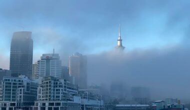 Auckland Airport fog causes multiple domestic flight cancellations and delays