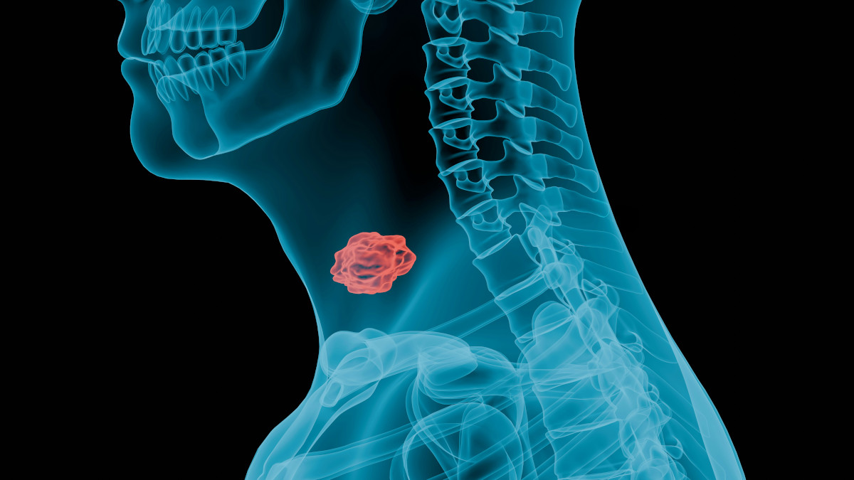 a-chosen-soul-DIFqU-oBCg4-unsplash