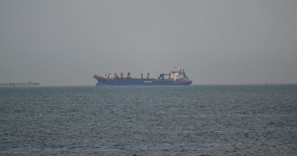 NZ faces inflation risk as trade bottleneck widens amid Iran conflict