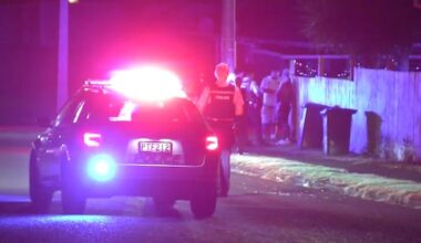 Man knocked out with weapon during Auckland fight