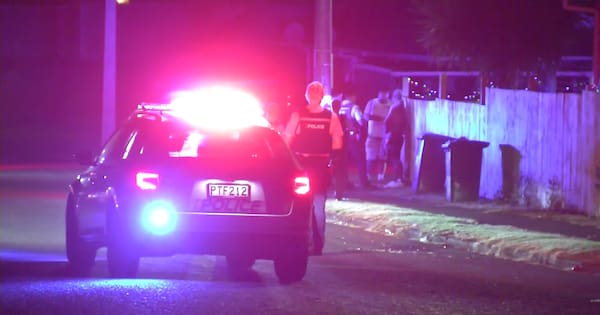 Man knocked out with weapon during Auckland fight