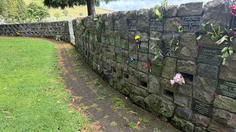 A photo of overgrown grass and weeds at Kauae Cemetery, posted on social media last weekend. 