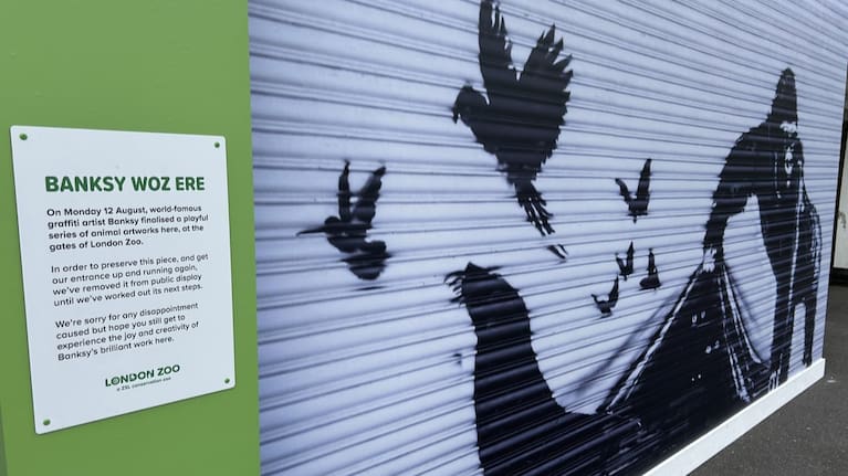 A sign outside the London Zoo explains why a reproduction has replaced a Banksy mural that was removed.