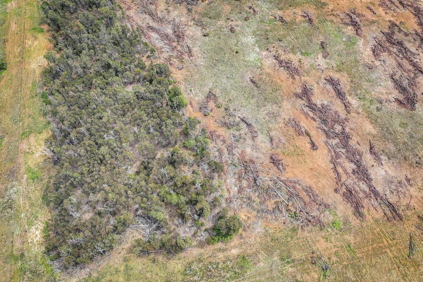 Durong land clearing 2