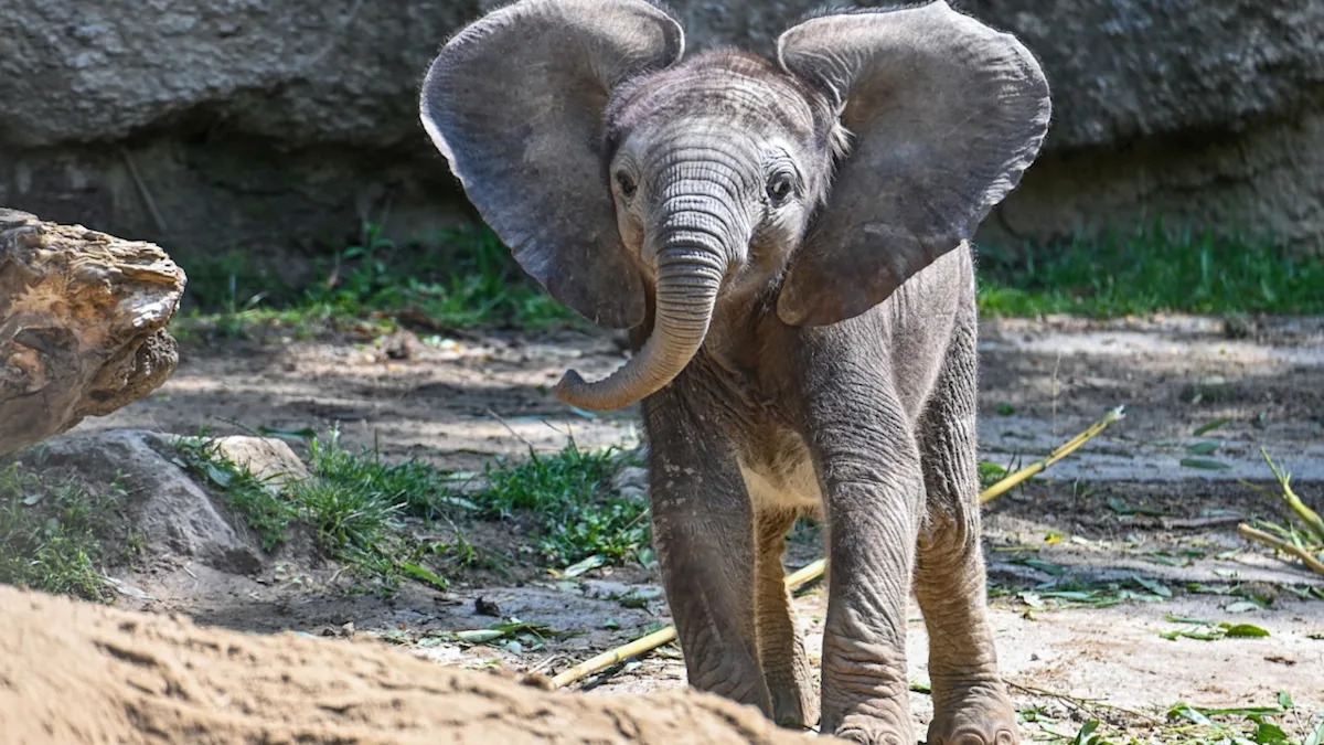 Yahoo lifestyle home