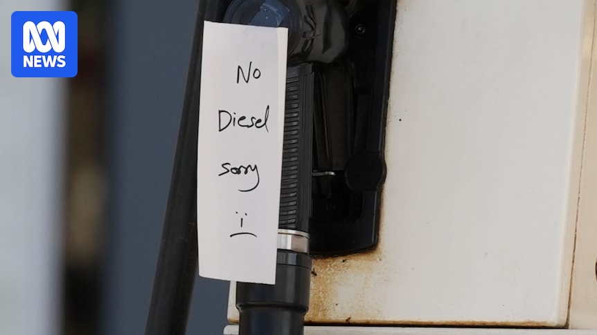 Australia's diesel standards lowered for six months as hundreds of petrol stations run out of certain fuels