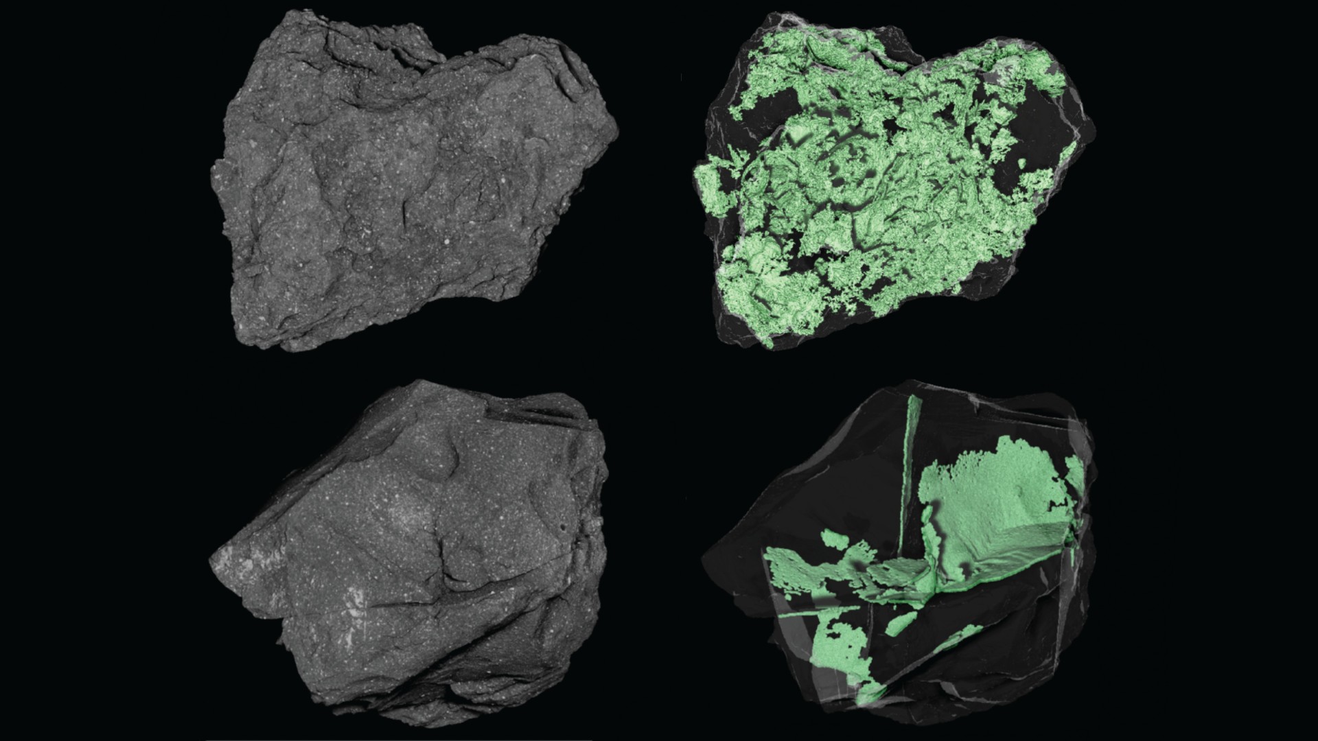 four images of tiny pebbles; two are photographs showing a grey mottled surface, the other two are see-through images showing green flaky textures inside the silhouettes of the pebbles