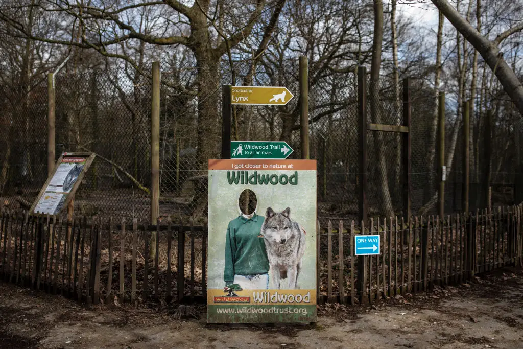 The park said it was a 'last resort' decision (Dan Kitwood/Getty Images)