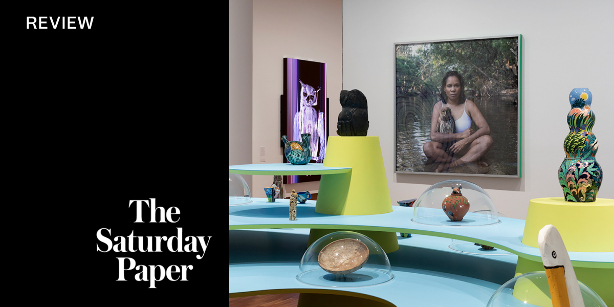 A velvet ant, a flower and a bird at the Potter Museum of Art