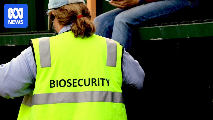 Pastoral company fined record $45,000 for Queensland biosecurity breaches