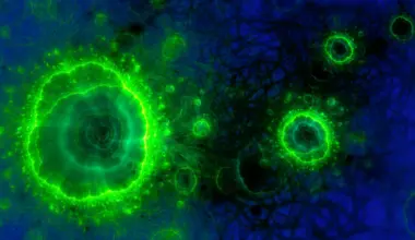 Scientists stunned to find signs of ancient life in a place no one expected