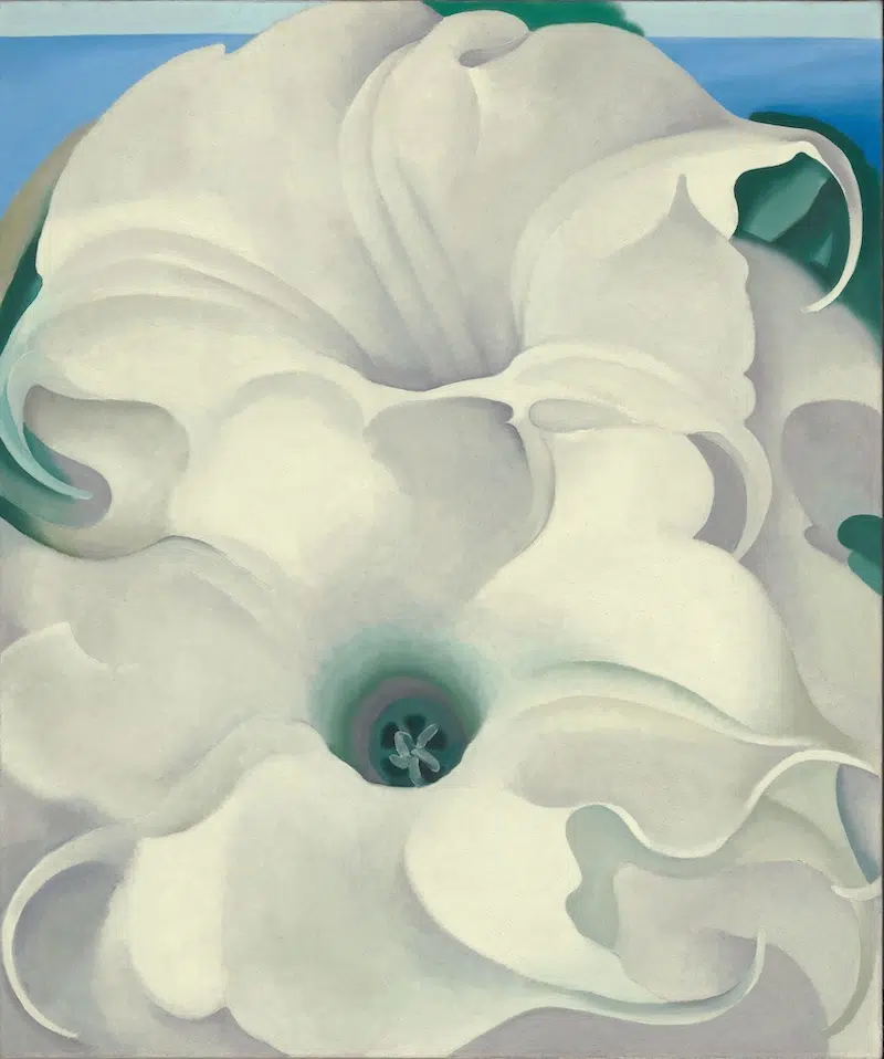 Access O’Keeffe