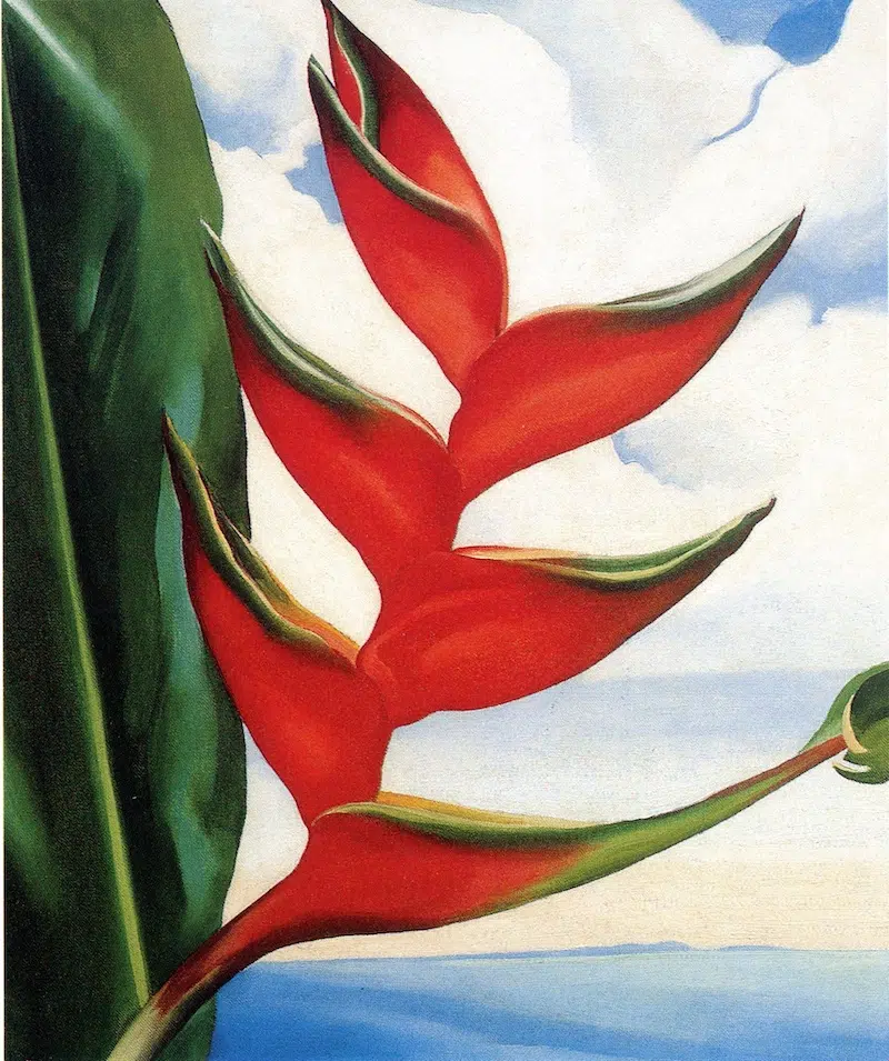 Access O’Keeffe