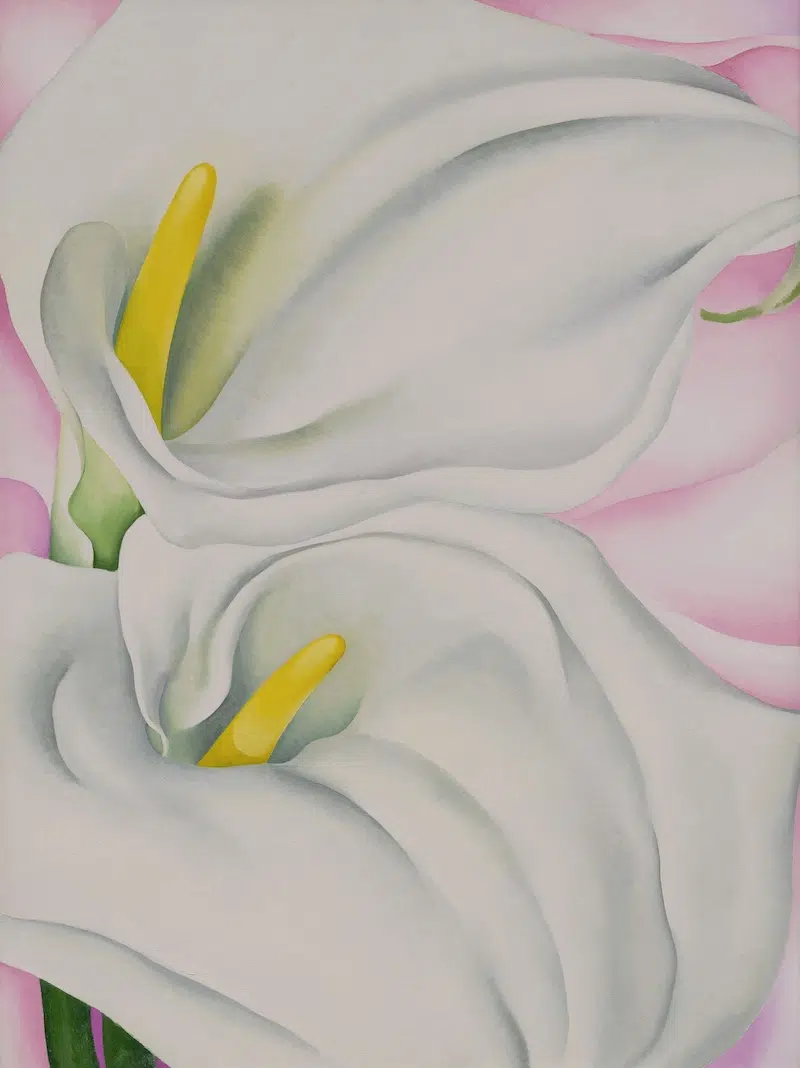 Access O’Keeffe