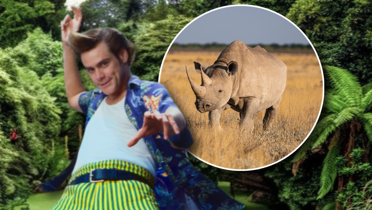 The 'Ace Ventura: When Nature Calls' Mechanical Rhino From THAT Scene Is For Sale
