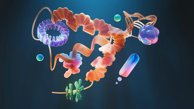 Caged Boron Compound Unlocks Protein Therapeutic Potential