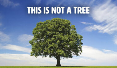 Stop Looking and Start Seeing