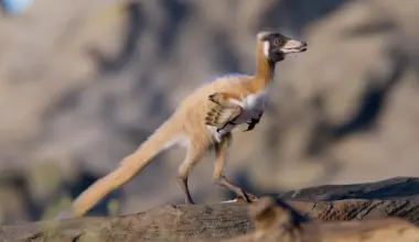 This 2-pound dinosaur is rewriting what scientists know about evolution