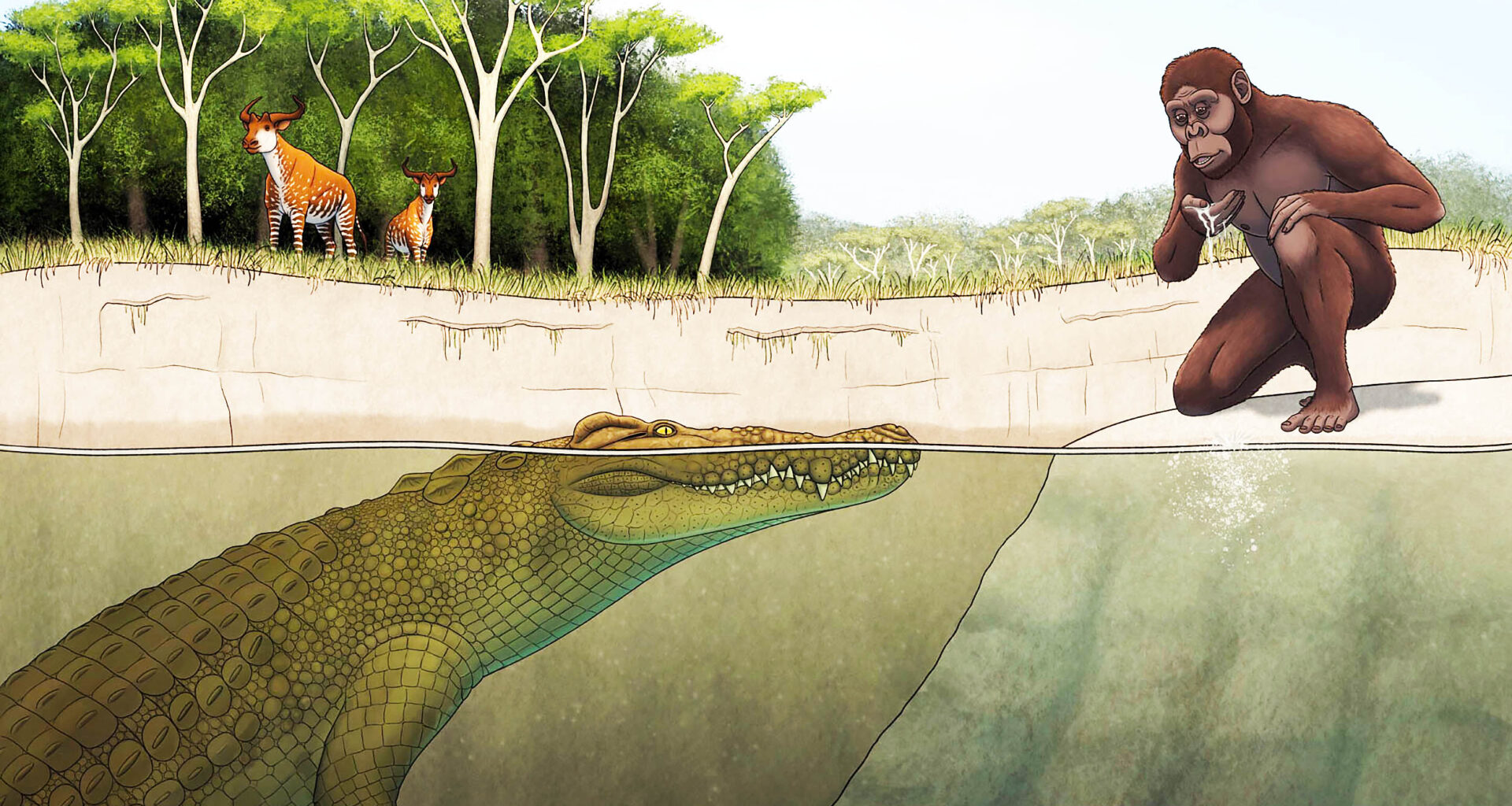 Crocodile named ‘Lucy’s hunter’ may have stalked early humans
