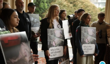 Thousands sign 'Commissioner for Animals' petition