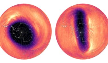Antarctic ozone hole shrinks to smallest size in six years