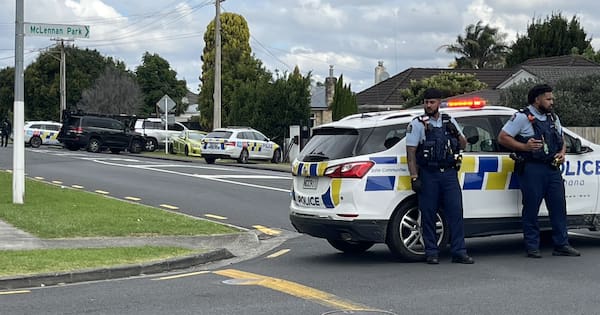 Two arrested, gun seized after shooting in Auckland's Papakura