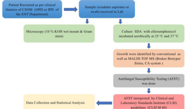 Changing Trends in the Fungal Aetiology of Chronic Suppurative Otitis Media and Antifungal Susceptibility Patterns of Isolated Fungi: A Pilot Study From a Tertiary Care Centre in Central India
